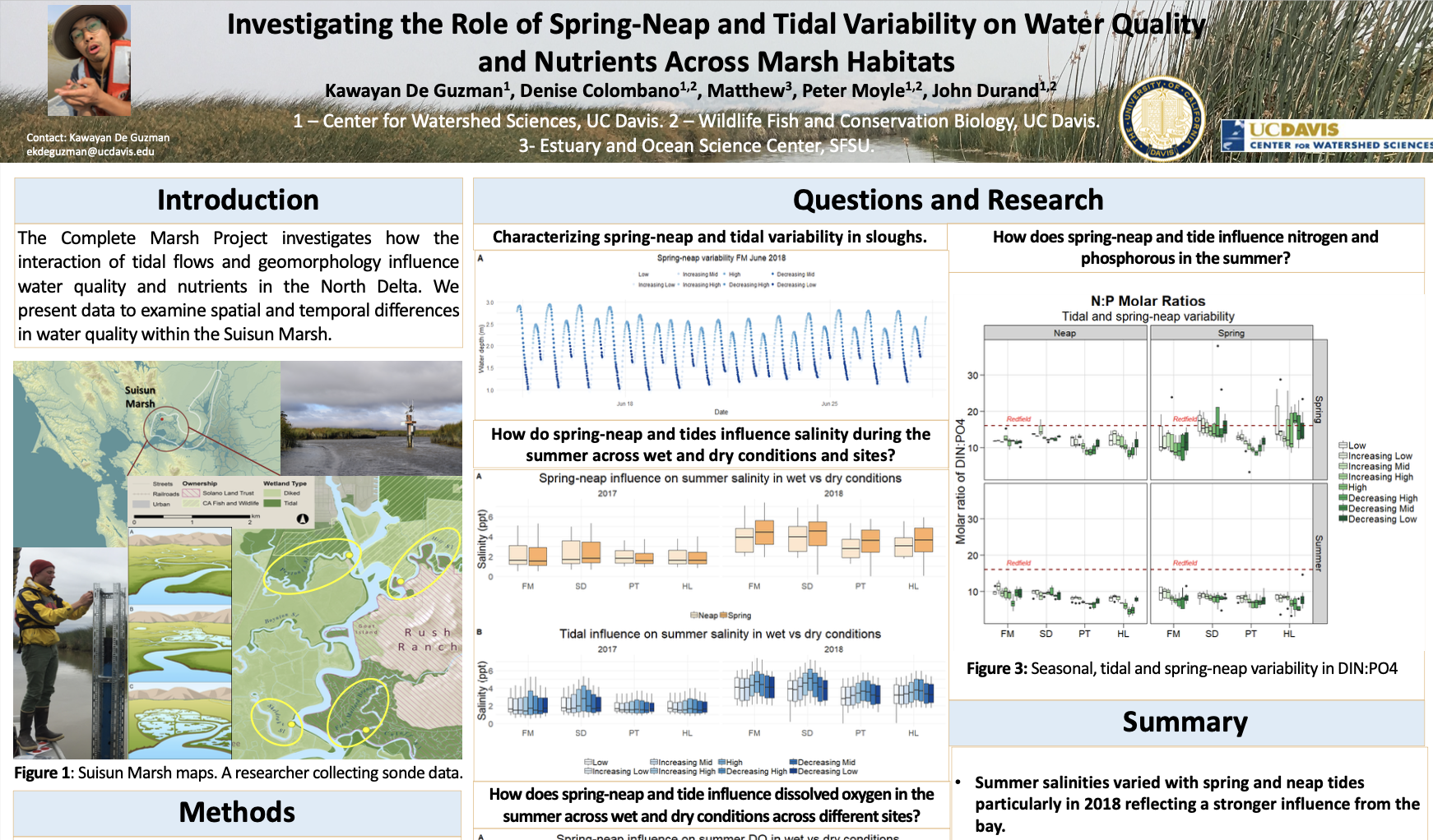 preview of scientific poster